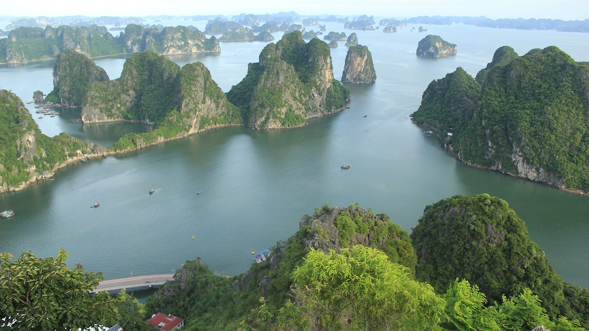 A stunning panoramic view of cruise boats on the emerald waters of Ha Long Bay