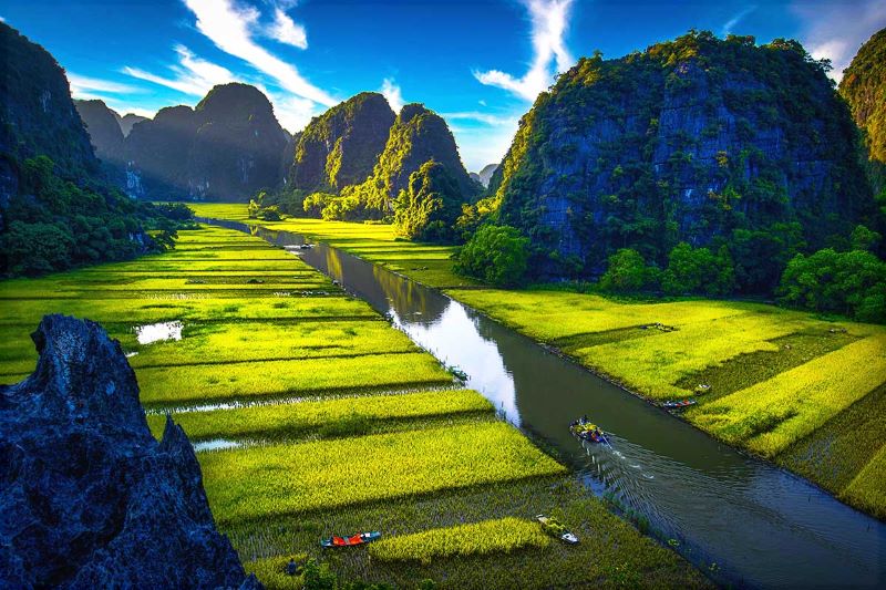 Golden rice paddies along the river in Tam Coc