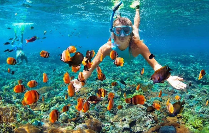 A snorkeler exploring the coral reefs around Phu Quoc