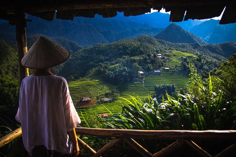 A cozy homestay with a view of the Sapa rice terraces
